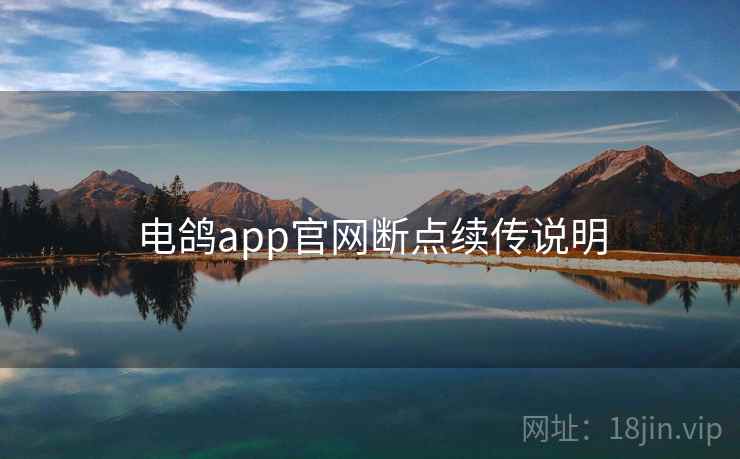电鸽app官网断点续传说明  第2张
