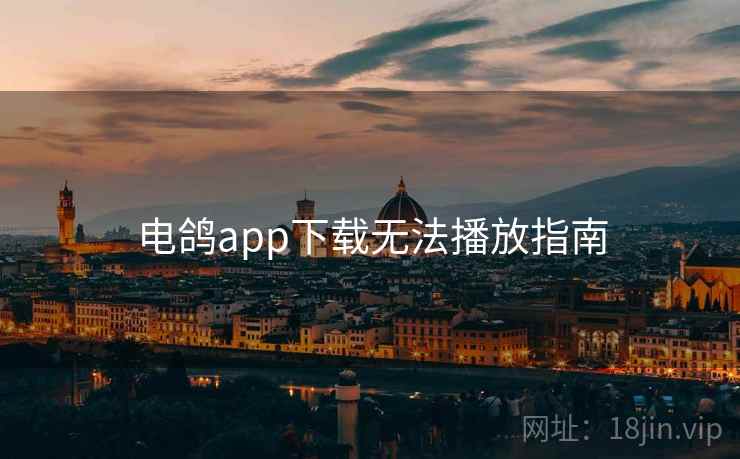 电鸽app下载无法播放指南 第2张 电鸽app下载无法播放指南 第2张