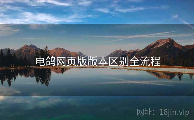 电鸽网页版版本区别全流程  第1张