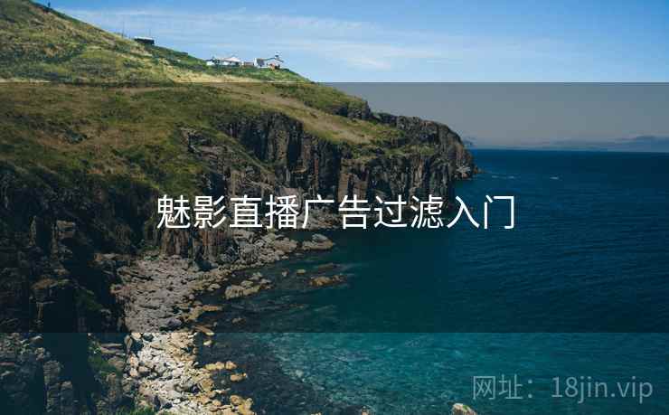 魅影直播广告过滤入门 第1张 魅影直播广告过滤入门 第1张