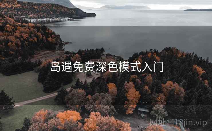 岛遇免费深色模式入门 第2张 岛遇免费深色模式入门 第2张