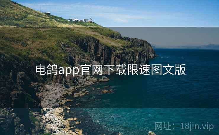 电鸽app官网下载限速图文版 第2张 电鸽app官网下载限速图文版 第2张