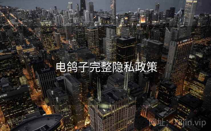 电鸽子完整隐私政策 第2张 电鸽子完整隐私政策 第2张