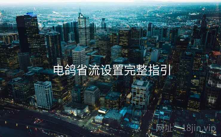 电鸽省流设置完整指引 第1张 电鸽省流设置完整指引 第1张