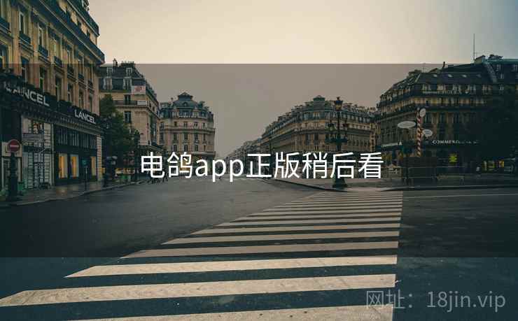 电鸽app正版稍后看 第2张 电鸽app正版稍后看 第2张