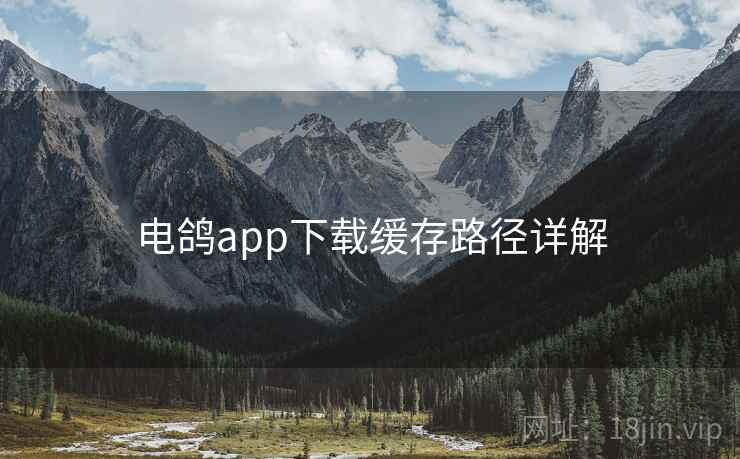 电鸽app下载缓存路径详解  第1张