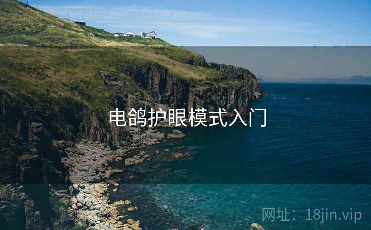 电鸽护眼模式入门  第1张